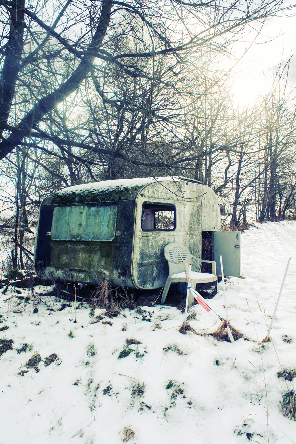Wohnen im Wald - Freebie Foto von optmedia.de